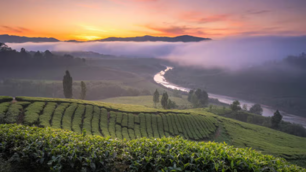 Northeastern Indian States Push to Become a High-Growth Travel Powerhouse