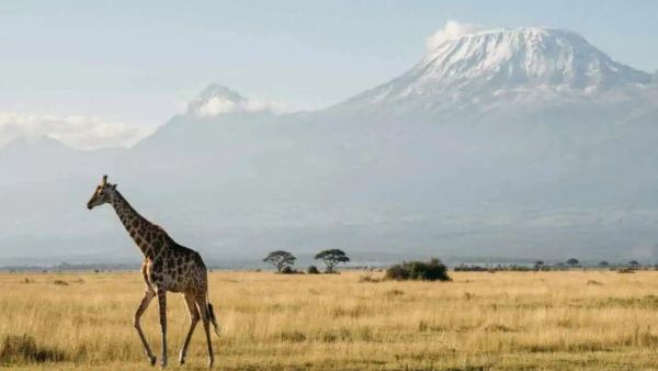 Kenya's Tourism Hits 13% Growth, Powering a Smart and Green 2026 Travel Revival