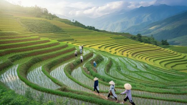Vietnam Travel Surges Post-Tet with Pilgrimage & Nature Hotspots Rising