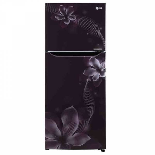 GL-N292DPOY 260 Ltr Double Door Refrigerator