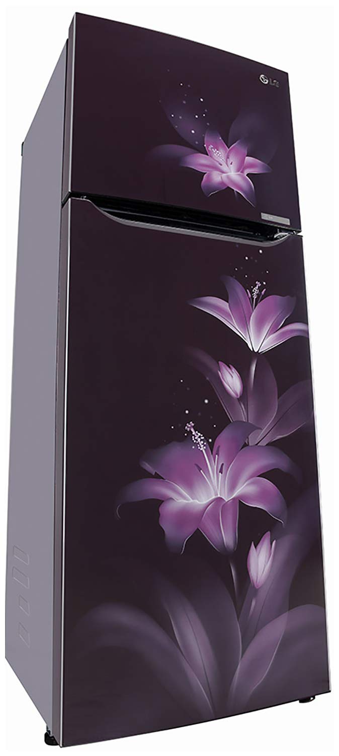 GL-T302SPG3 284 Ltr Double Door Refrigerator