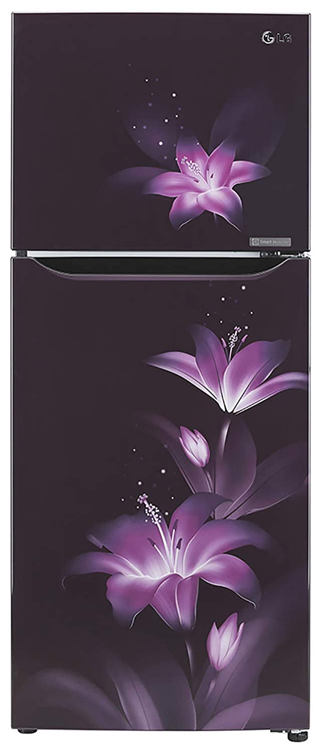 GL-T292SPG3 260 Ltr Double Door Refrigerator