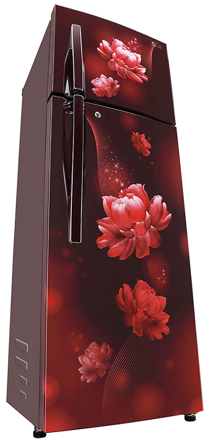 GL-T302RSCY 284 Ltr Double Door Refrigerator