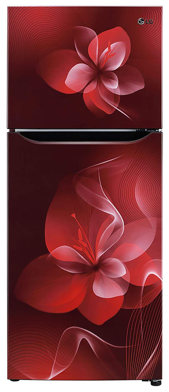 GL-N292DSDY 260 Ltr Double Door Refrigerator
