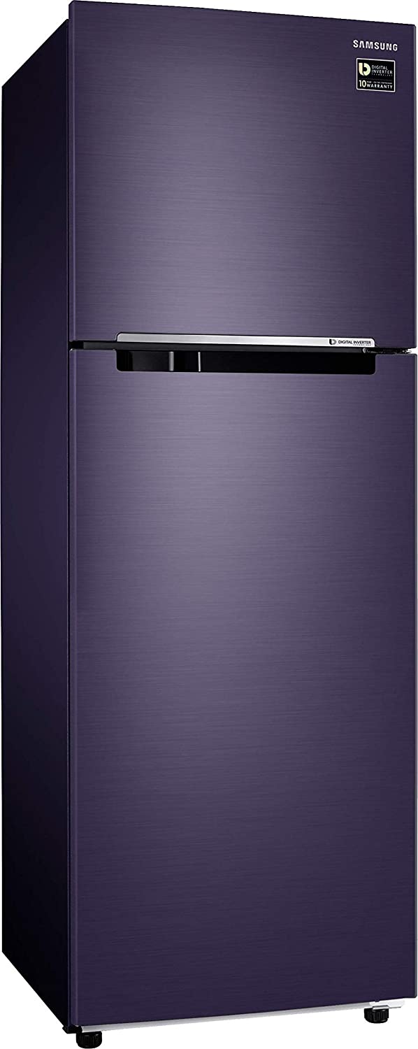 RT30T3422UT 275 Ltr Double Door Refrigerator