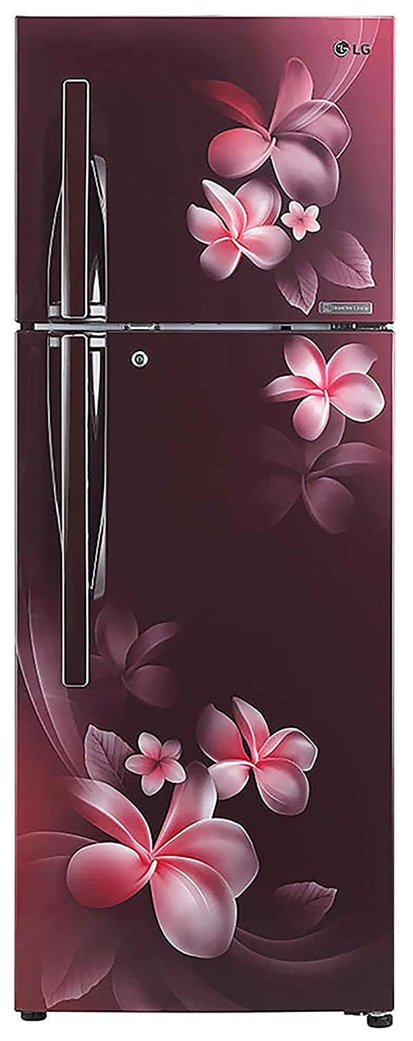 GL-T302RSPN 284 Ltr Double Door Refrigerator
