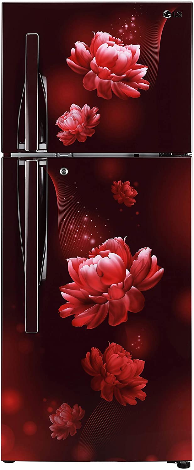 GL-T292RSCY 260 Ltr Double Door Refrigerator