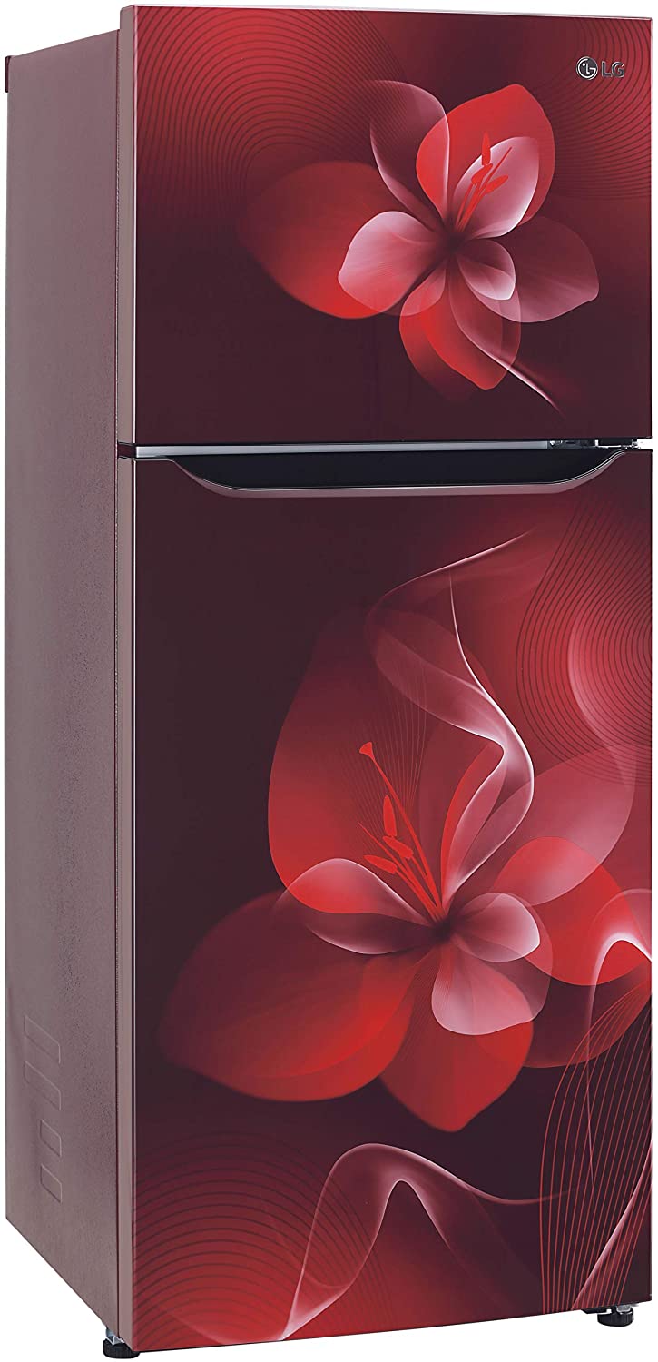 GL-S292DSDY 260 Ltr Double Door Refrigerator