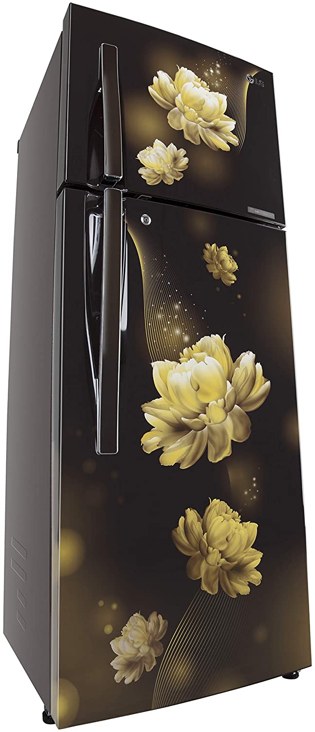 GL-T302RHCY 284 Ltr Double Door Refrigerator