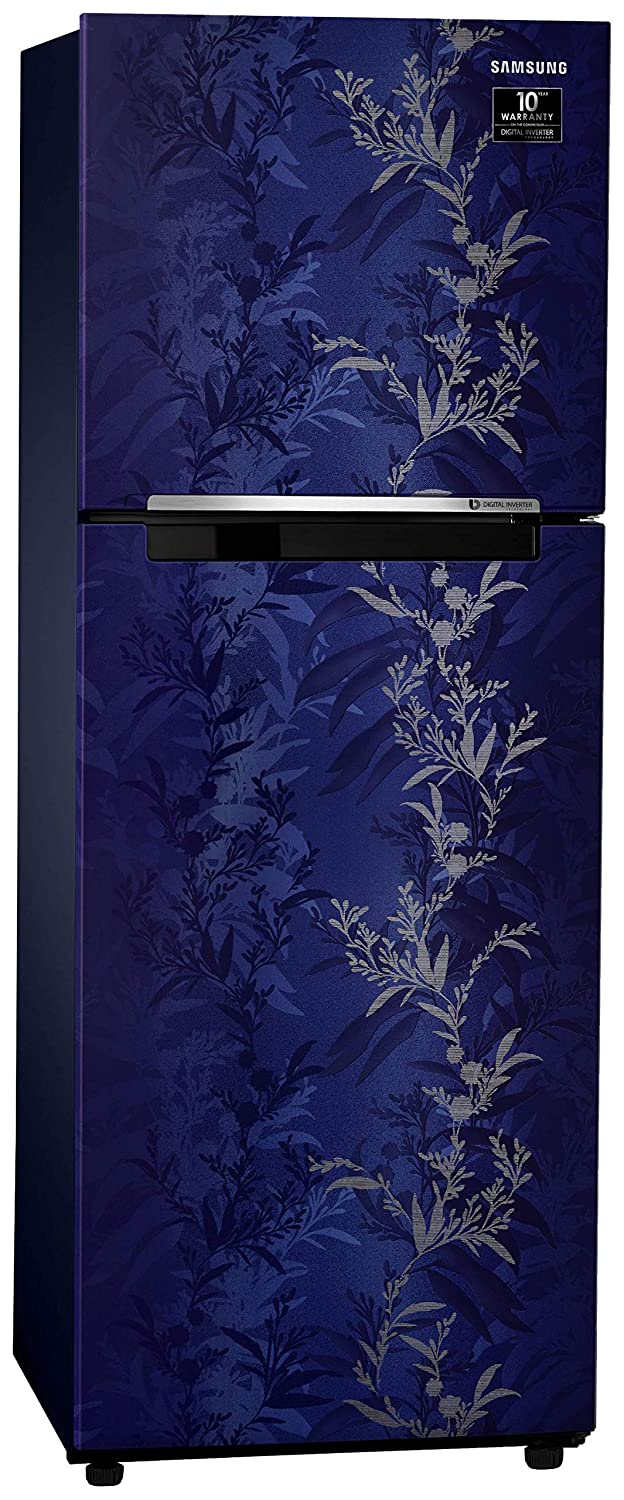 RT28T30226U 253 Ltr Double Door Refrigerator