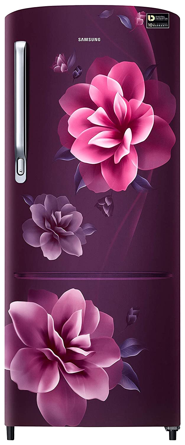 RR24T275YCR 230 Ltr Single Door Refrigerator