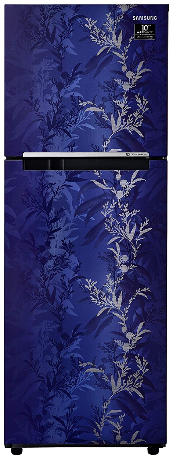 RT28T30226U 253 Ltr Double Door Refrigerator
