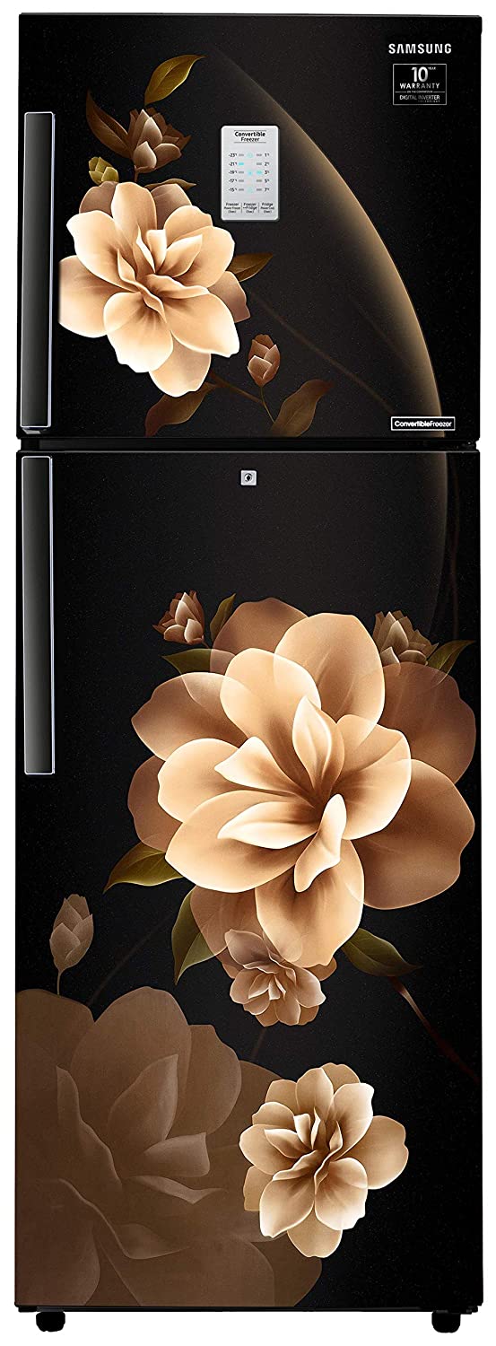 RT28T3932CB 253 Ltr Double Door Refrigerator