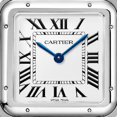 WSPN0011 Panthere De Cartier