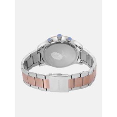 Men Silver-Toned Analogue Watch DK12134-3