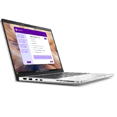 Pro 13 Plus PB13250 Laptop