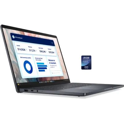 Pro 14 Premium PA14250 Laptop