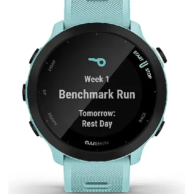 Forerunner 55 Smartwatch
