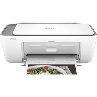 Ink Advantage 2876 Printer