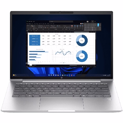 ProBook 450 39.6 cm (15.6) G10 Business Laptop PC