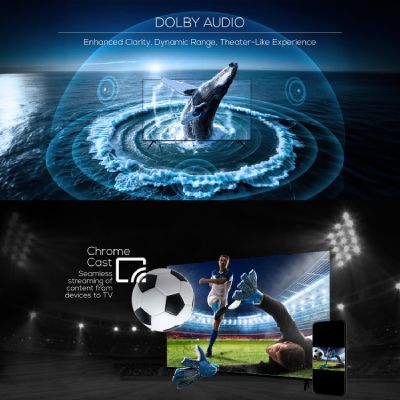 80 cm (32 inches) HD Ready Smart LED Google TV LE32W400G (Black)