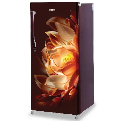 HRD-2103CGF-P 190 L, 3 Star, Golden Flora Finish Direct Cool Single Door Refrigerator