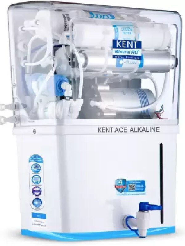 Ace Alkaline 116131