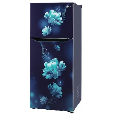 GL-N292BBCY 242L 2 Star Double Door Refrigerator