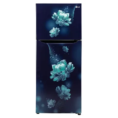GL-N292BBCY 242L 2 Star Double Door Refrigerator