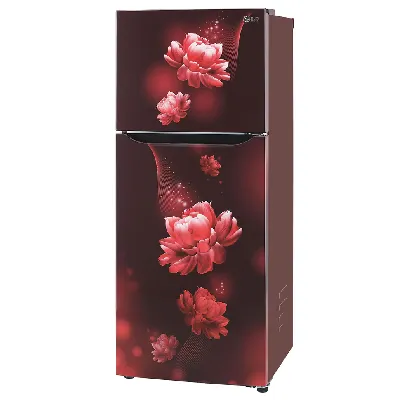 GL-N292BSCY 242L 2 Star Double Door Refrigerator