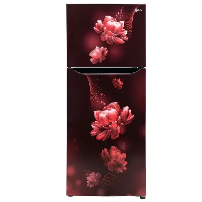 GL-N292BSCY 242L 2 Star Double Door Refrigerator