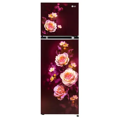 GL-N312SSBY 272L 2 Star Double Door Refrigerator