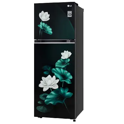 GL-S262SELX 246L 3 Star Double Door Refrigerator