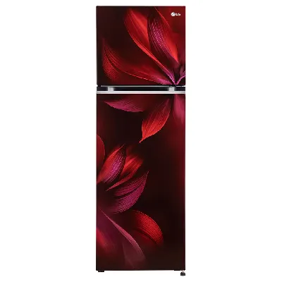 GL-S262SSAX 246L 3 Star Double Door Refrigerator
