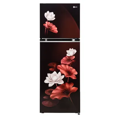 GL-S262SSLX 246L 3 Star Double Door Refrigerator