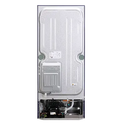 GL-S292RBCY 240L 2 Star Frost-Free Double Door Refrigerator