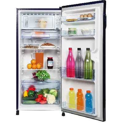 GLDC192SCBT4LC 178 L Direct Cool Single Door Refrigerator
