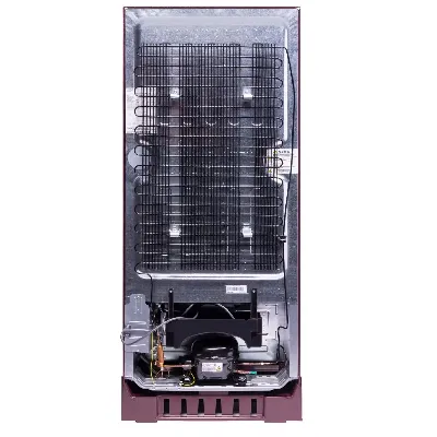GLDF205SCWS2LC 188 L Direct Cool Single Door Refrigerator