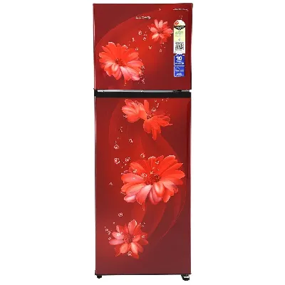 GLFF272ADWT1GC 240 L Double Door Refrigerator