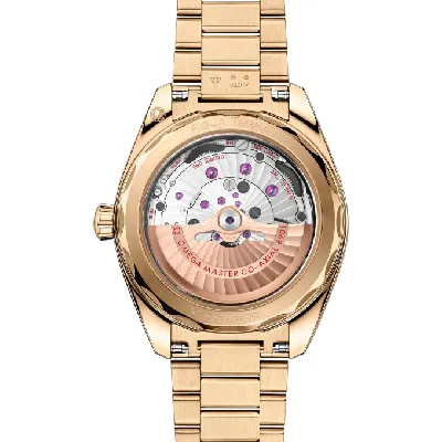 220.50.41.21.10.001 Seamaster Aqua Terra 150M 41 mm
