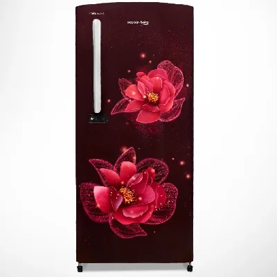 RDC220C / S0WFE0M0000GD 185 L 3 Star Single Door Refrigerator