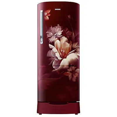 RR20D1823RZ 183 L Stylish Grandé Design Single Door Refrigerator
