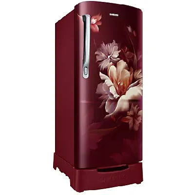 RR20D1823RZ 183 L Stylish Grandé Design Single Door Refrigerator
