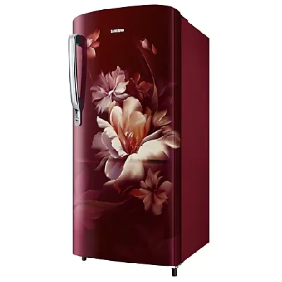 RR20D2723RZ 183 L Stylish Grandé Design Single Door Refrigerator