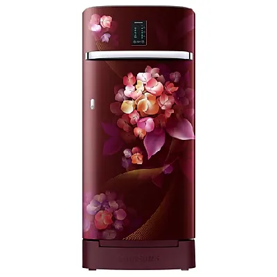 RR21C2F24HT 189 L Digi-Touch Cool™ Single Door Refrigerator
