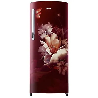 RR23C2G35RZ 215 L Horizontal Curve Design Single Door Refrigerator
