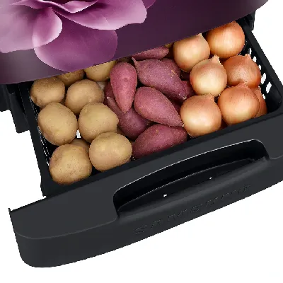 RR24A282YCR 230 L Stylish Grandé Design Single Door Refrigerator