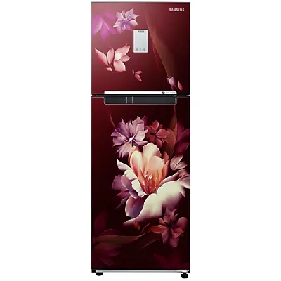 RT28B3522RZ 244 L Curd Maestro™ Double Door Refrigerator