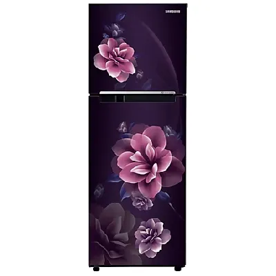 RT28C3022CR 236 L Digital Inverter Technology Double Door Refrigerator