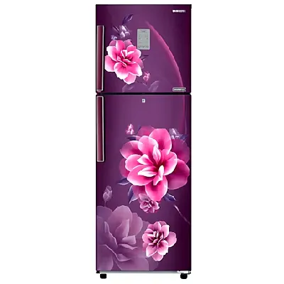 RT28C3922CR 236 L Convertible Freezer Double Door Refrigerator